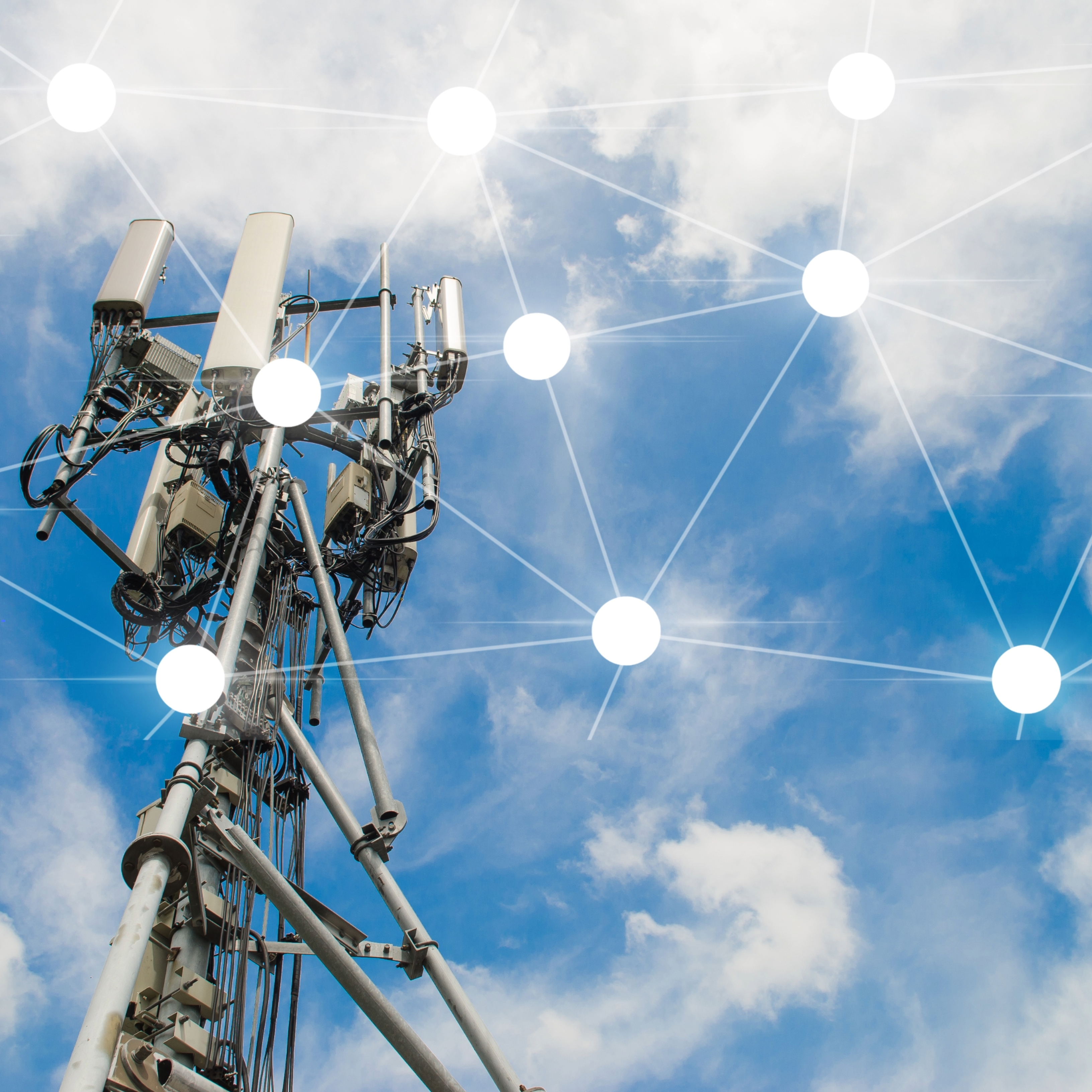 Structural Integrity Visual